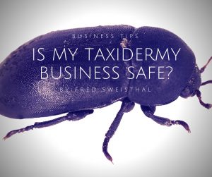 Is My Taxidermy Business Safe? | by Fred Sweisthal