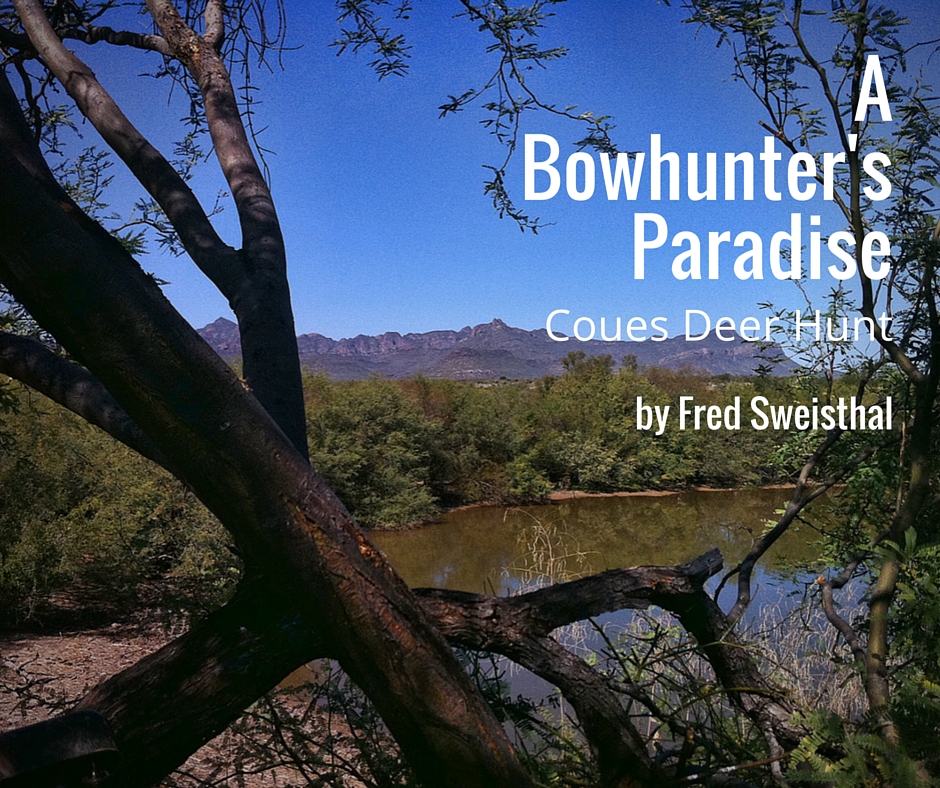 A Bowhunter's Paradise: Coues Deer Hunti | by Fred Sweisthal