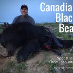 Canadian Black Bear: Spot & Stalk Close Encounters | by Fred Sweisthal