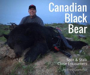 Canadian Black Bear: Spot & Stalk Close Encounters | by Fred Sweisthal
