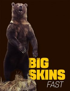 BIG Skins Fast - Fred's Alaskan Brown Bear