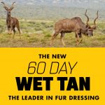 The NEW 60-Day Wet Tan