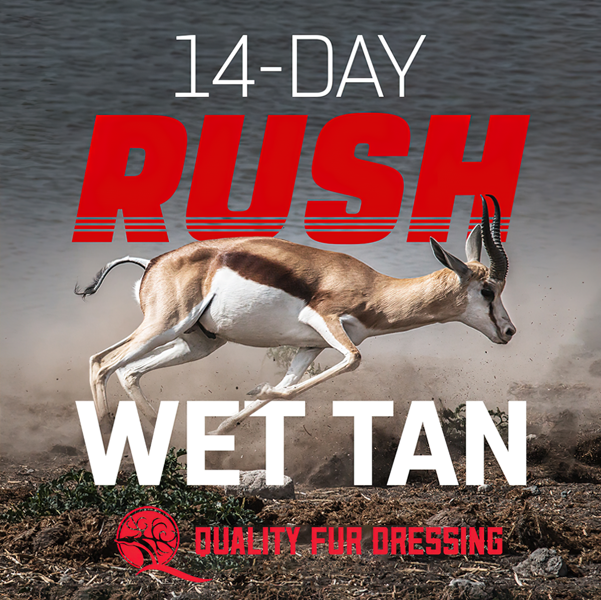 14 Day Rush Wet Tan - Quality Fur Dressing