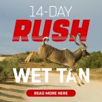 14 Day RUSH Wet Tan