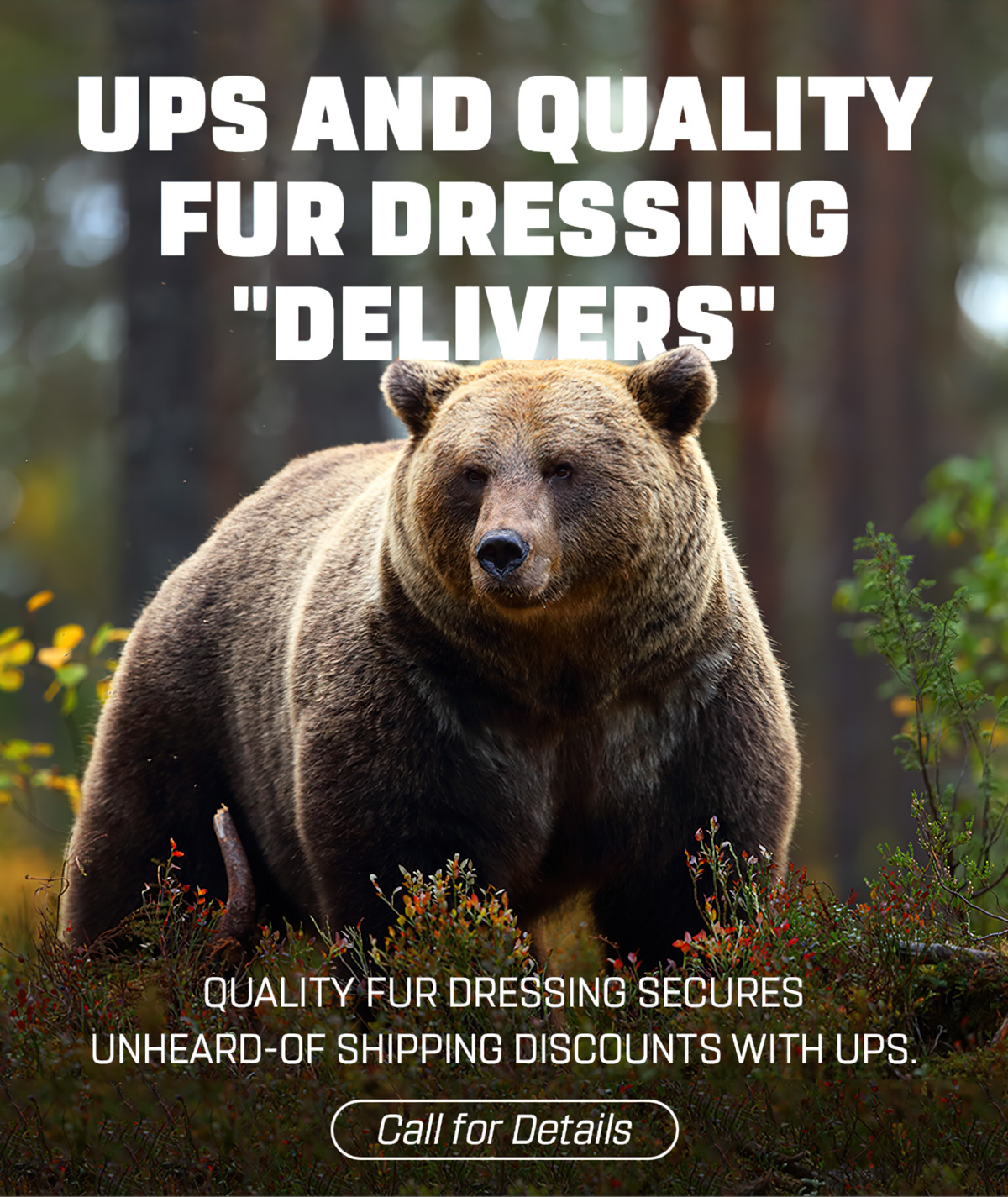UPS and Quality Fur Dressing "Delivers" - GREAT Shipping Savings
