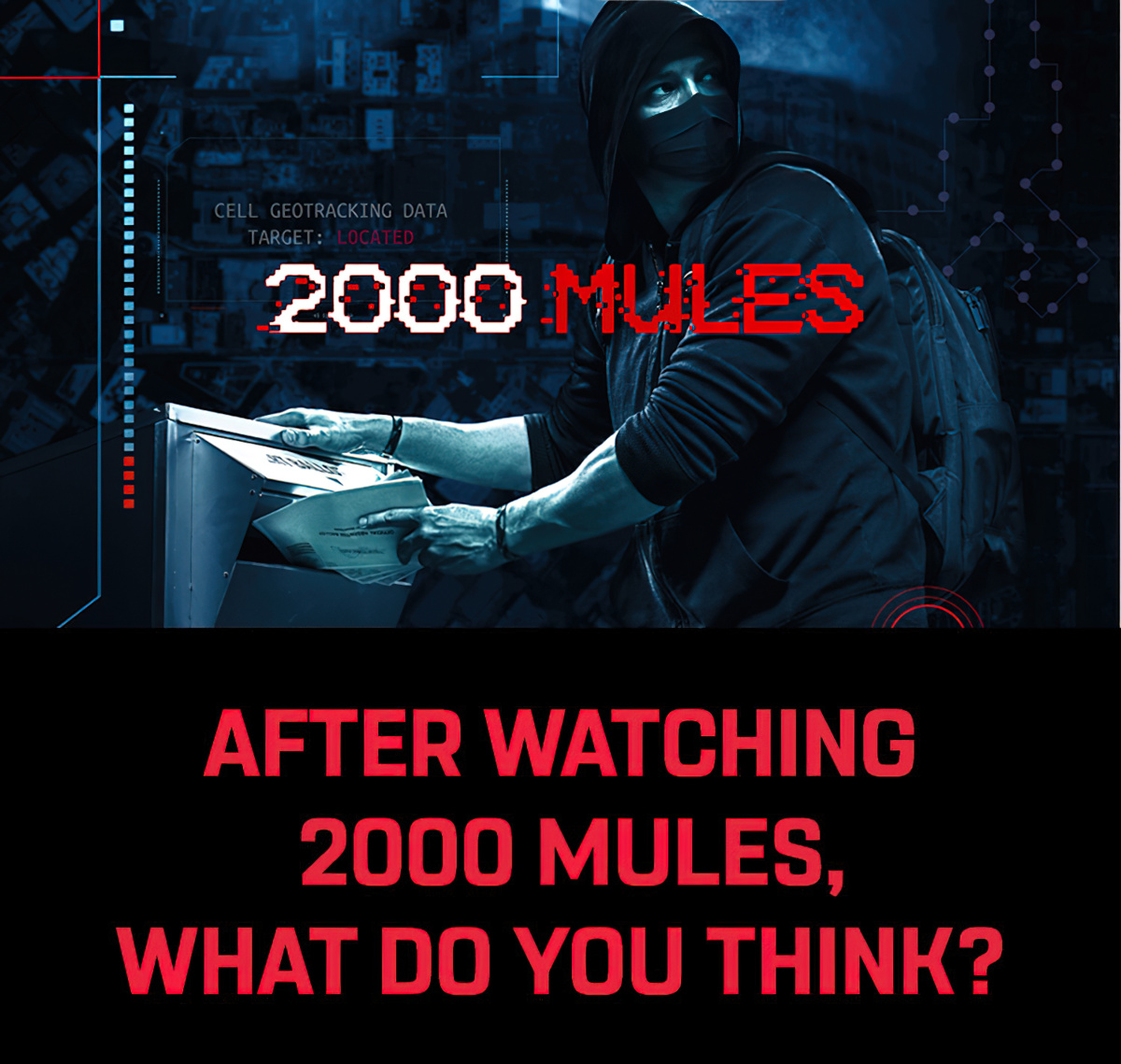 Poll: 2000 Mules