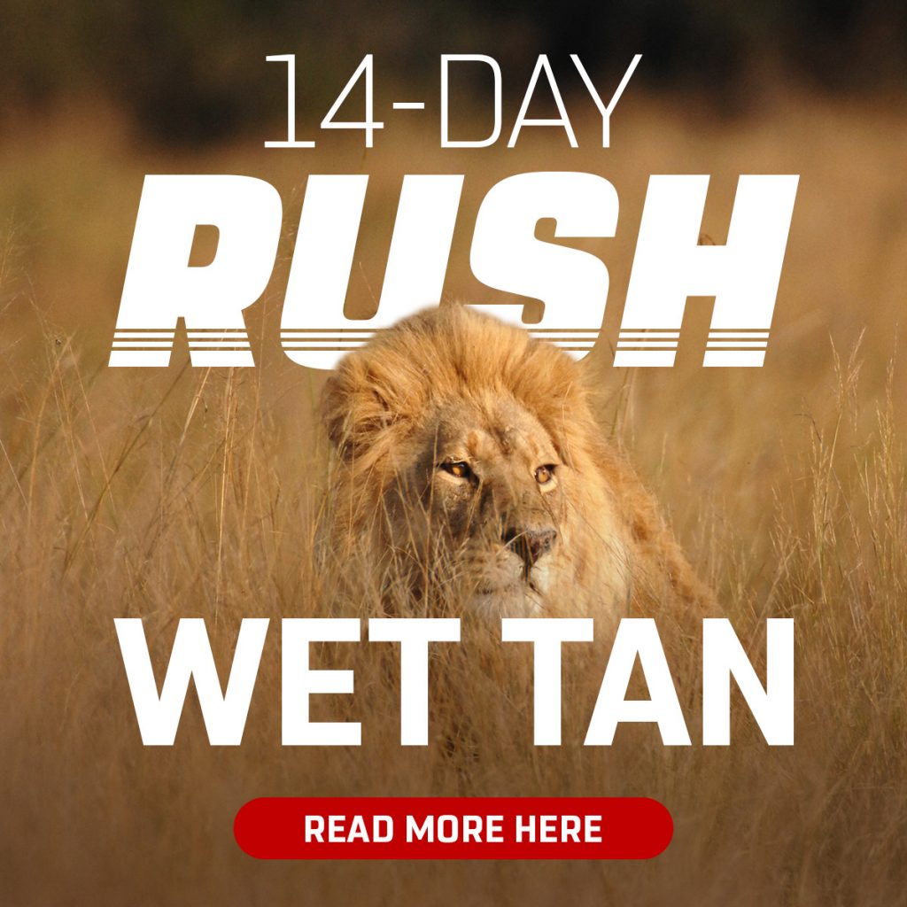 14 Day RUSH Wet Tan - Quality Fur Dressing
