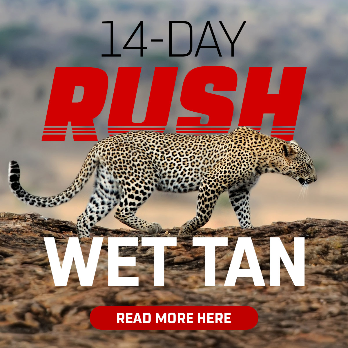 14 Day Rush Wet Tan - Texas Fur Dresser