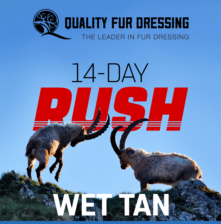 Quality Fur Dressing Is The Leader in Fur Dressing