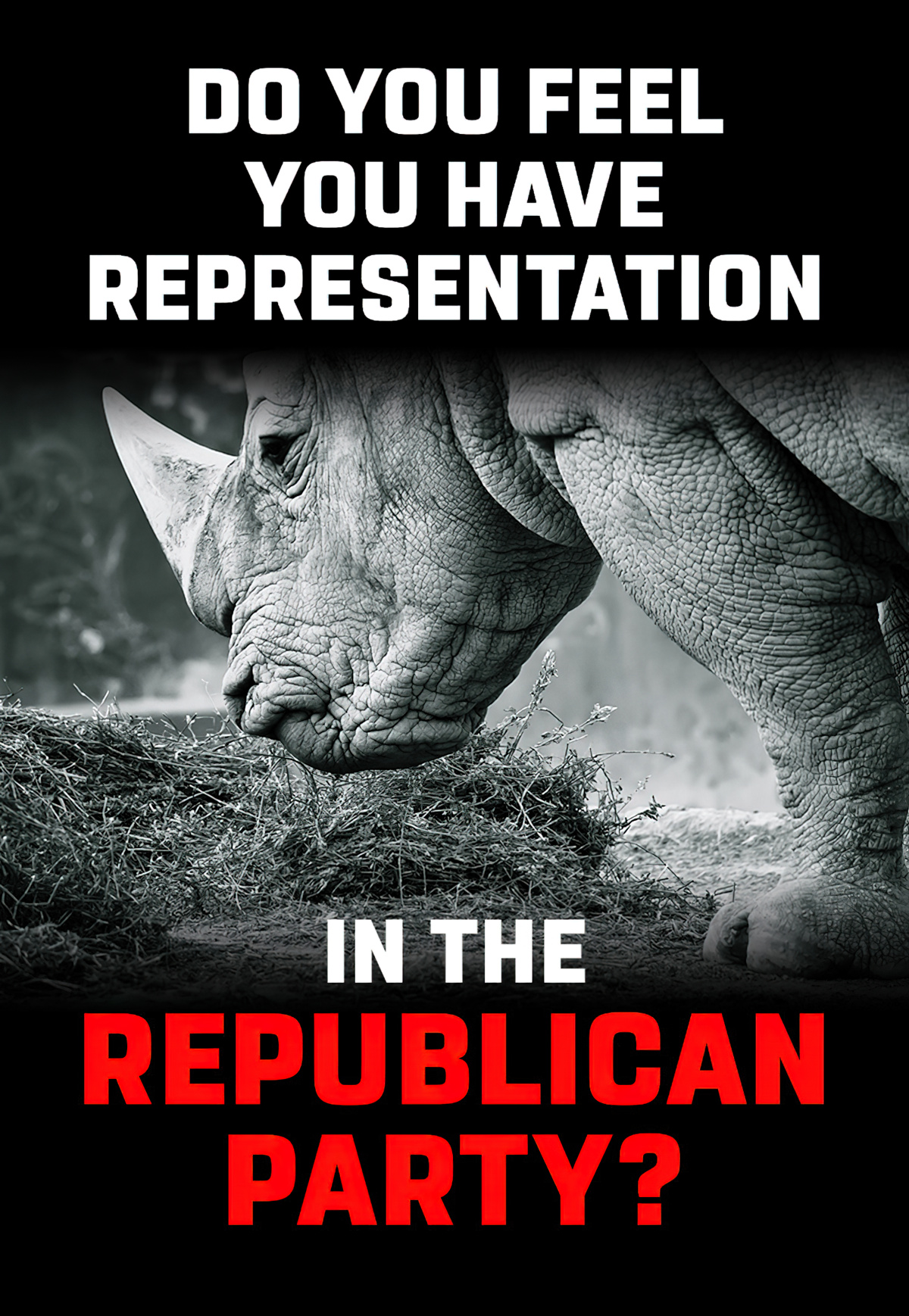 Do you feel you have representation in the Republican Party? - Quality Fur Dressing