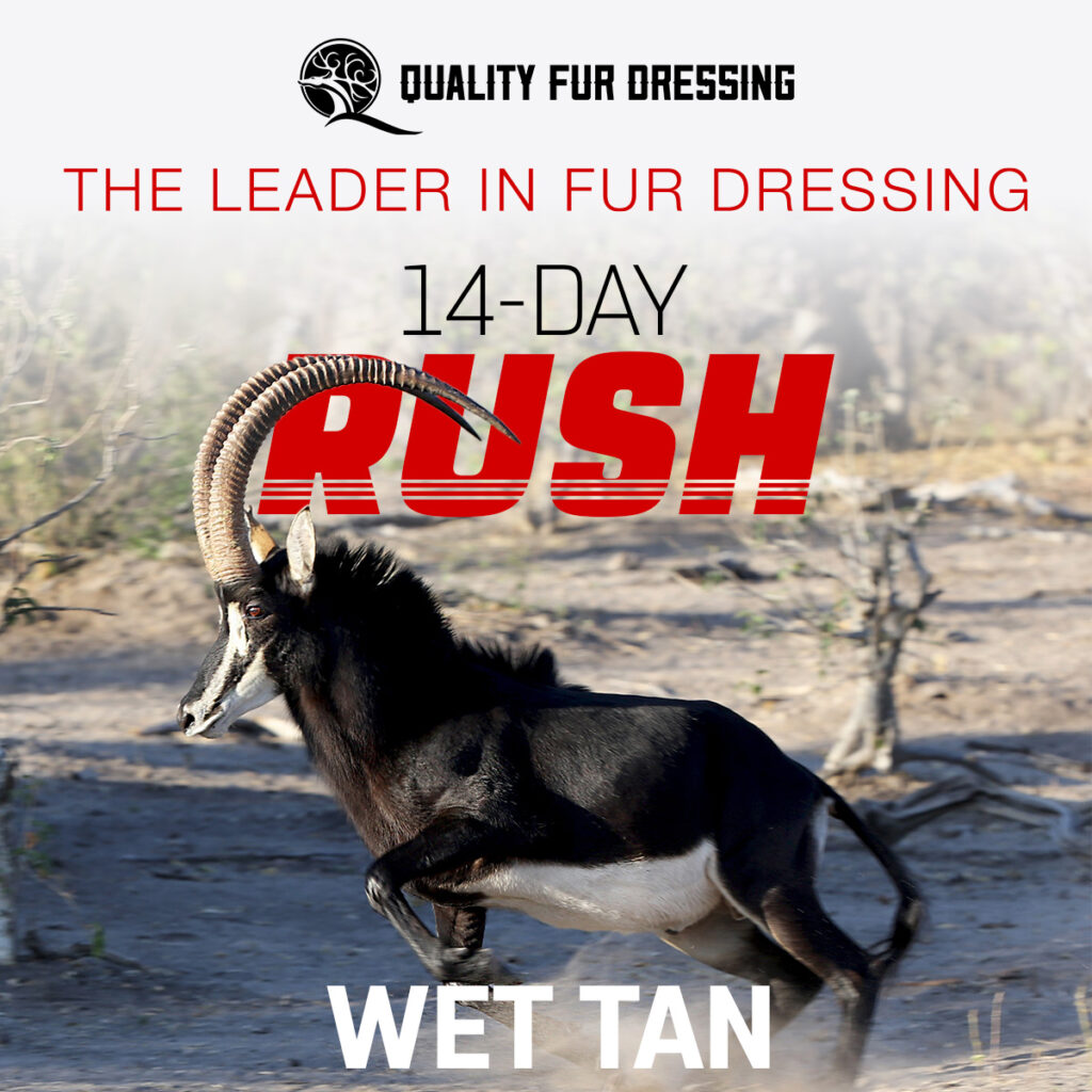 14-Day Rush Wet Tan by Quality Fur Dressing - The Leader In Fur Dressing