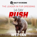 14 Day Rush Wet Tan by Quality Fur Dressing - The Leader in Fur Dressing