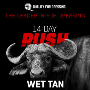 Quality Fur Dressing is the Leader in Fur Dressing