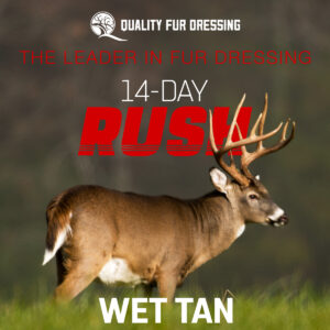 14 Day Rush Wet Tan - Exclusively at Quality Fur Dressing