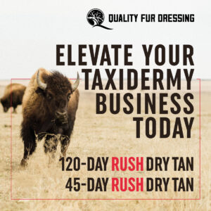 Elevate Your Taxidermy Business - Quality Fur Dressing - The Leader in Fur Dressing