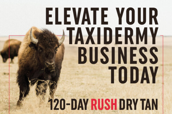 Elevate Your Taxidermy Business - Quality Fur Dressing - The Leader in Fur Dressing