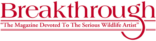 Breakthrough Magazine - A fan of Quality Fur Dressing