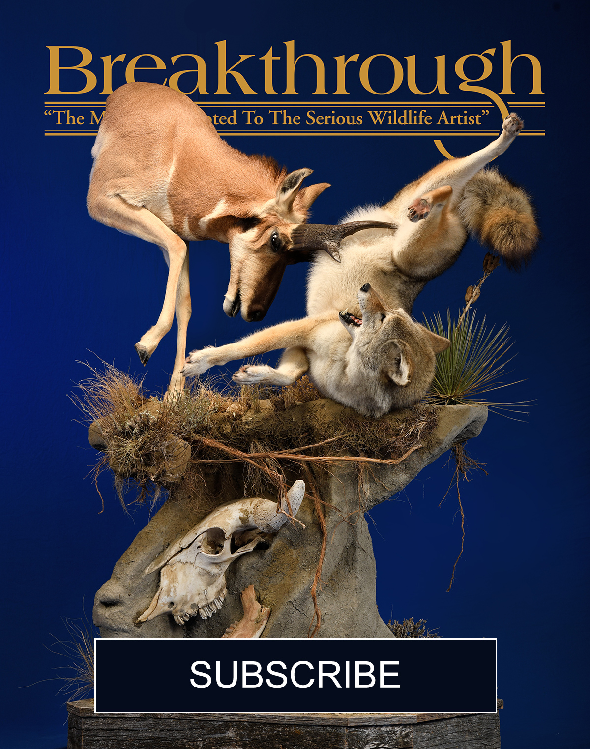 Subscribe to Breakthrough Magazine