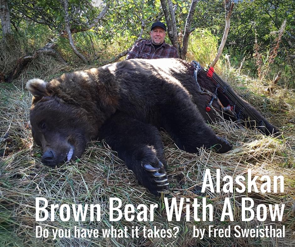 Alaskan Brown Bear With A Bow | by Fred Sweisthal