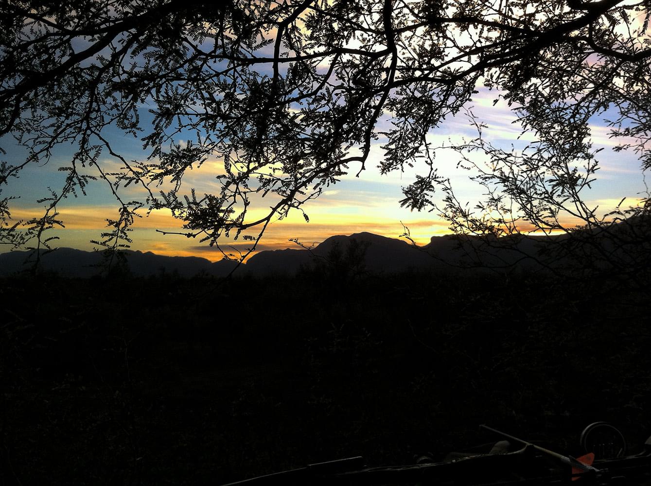 A Bowhunter's Paradise: Coues Deer Hunt | by Fred Sweisthal
