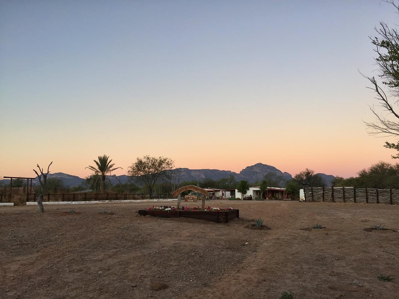 A Bowhunter's Paradise: Coues Deer Hunt | by Fred Sweisthal