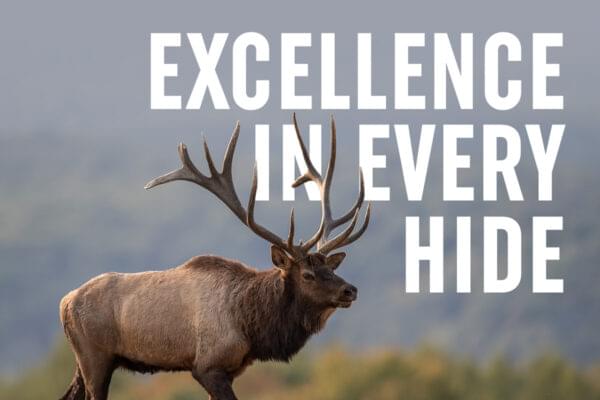 Excellence in Every Hide: The Quality Fur Dressing Process